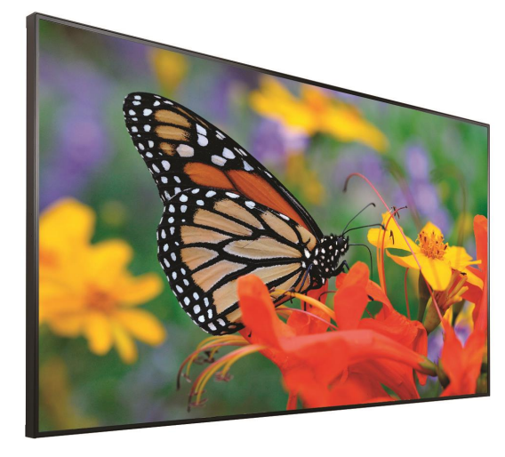 DS55UHD 500-IPS
